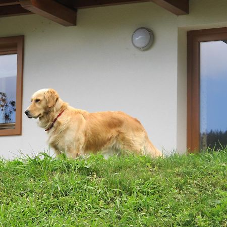 Il Cardo Trentino Apartment Bedollo Luaran gambar