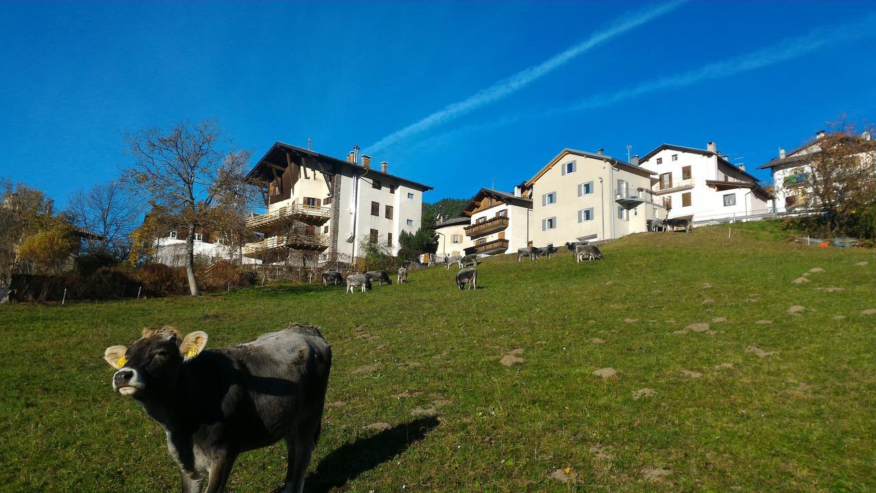 Il Cardo Trentino Apartment Bedollo Luaran gambar