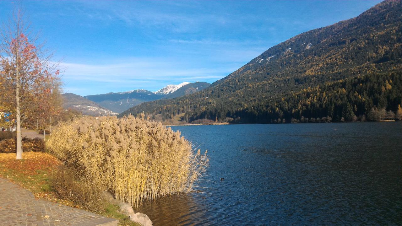 Il Cardo Trentino Apartment Bedollo Luaran gambar